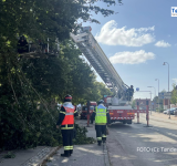 Tønder Frivillige Brandværn måtte ud til knækket grene ved Rådhuset